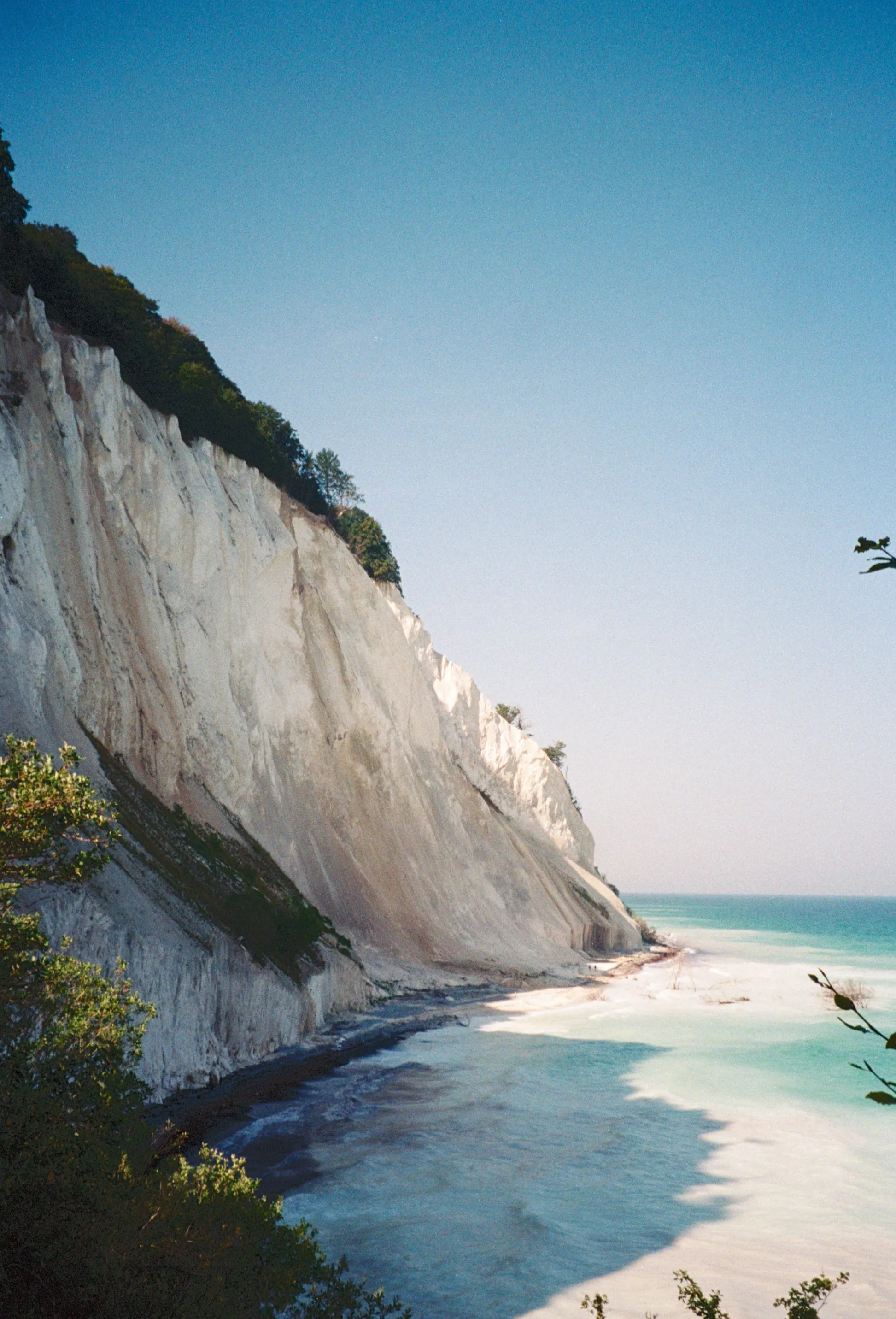 The white chalk cliffs of Møns Klint curving down to a narrow beach and turquoise sea, green trees along the clifftop.