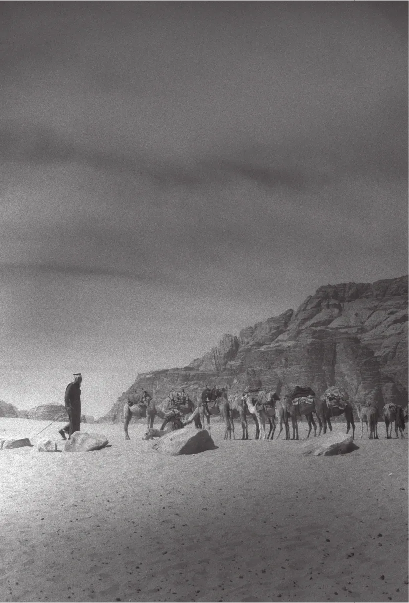A person leading a caravan of camels through the desert, rocky cliffs in the background. Black and white.